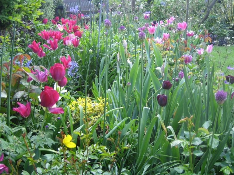 Forest Hill Garden Group